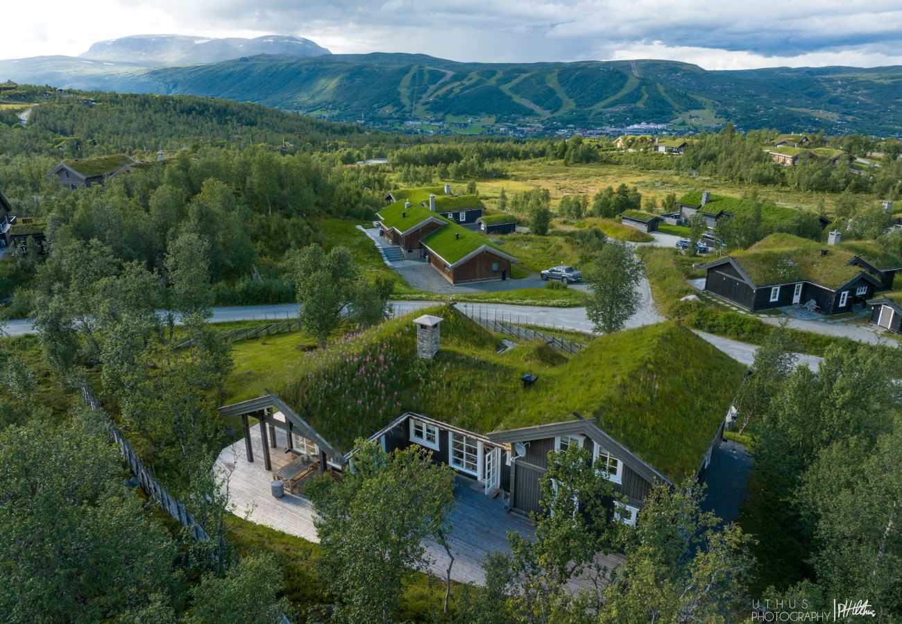 Cabin in Hol - Exclusive mountain lodge with panoramic views and high standard – Kikut/Geilo