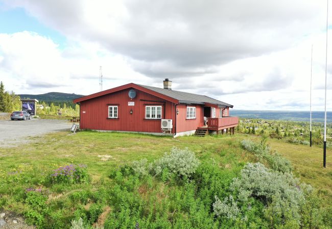 Cabin in Gol - Red Cross Cabin – Spacious mountain lodge  Cabin in Gol - Red Cross Cabin – Spacious mountain lodge