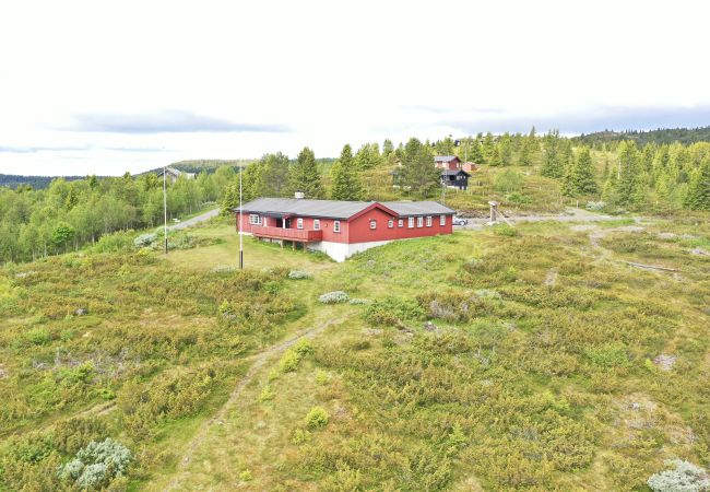 Cabin in Gol - Red Cross Cabin – Spacious mountain lodge  Cabin in Gol - Red Cross Cabin – Spacious mountain lodge