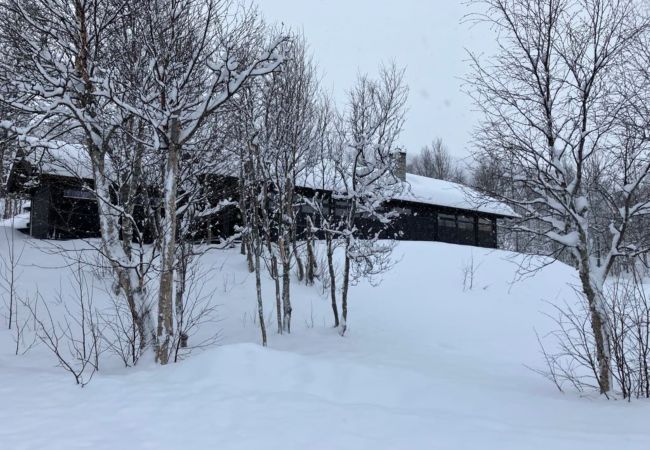 Cabin in Hol - Ski in/Ski out in Geilo – Comfortable Cabin in Vestlia with 3 Bedrooms Cabin in Hol - Ski in/Ski out in Geilo – Comfortable Cabin in Vestlia with 3 Bedrooms
