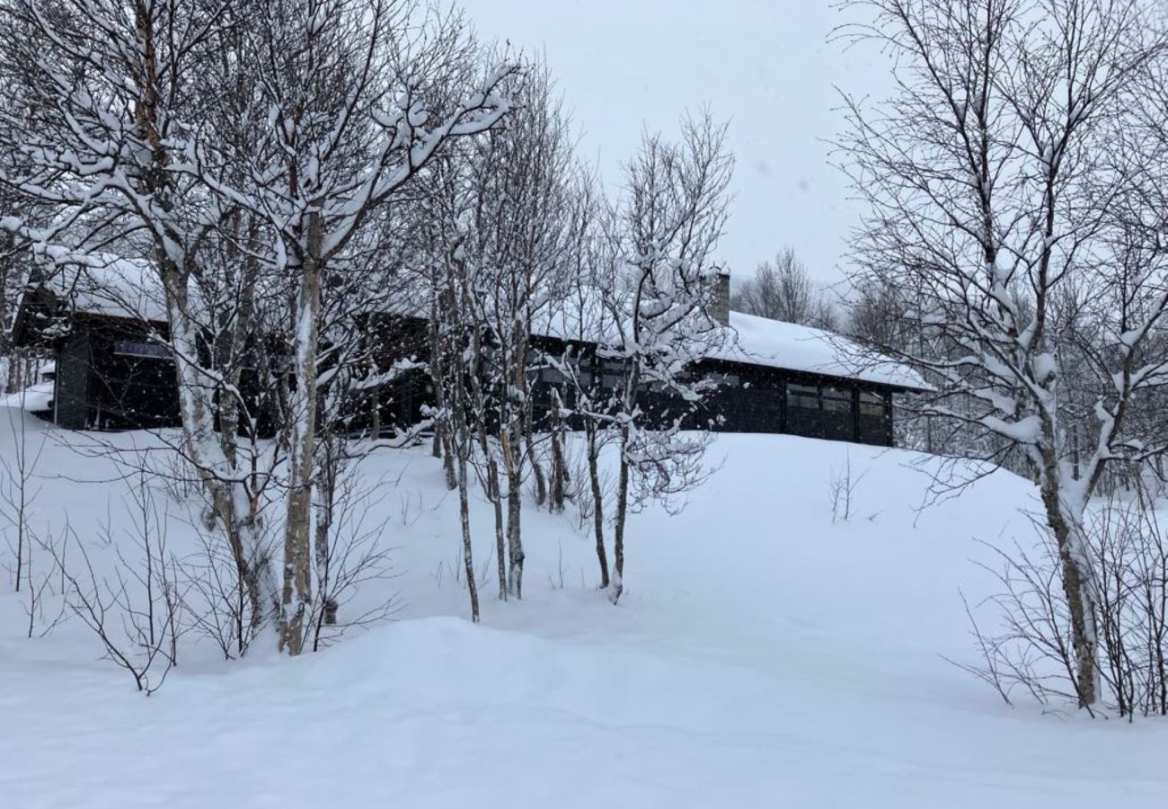 Cabin in Hol - Ski in/Ski out in Geilo – Comfortable Cabin in Vestlia with 3 Bedrooms
