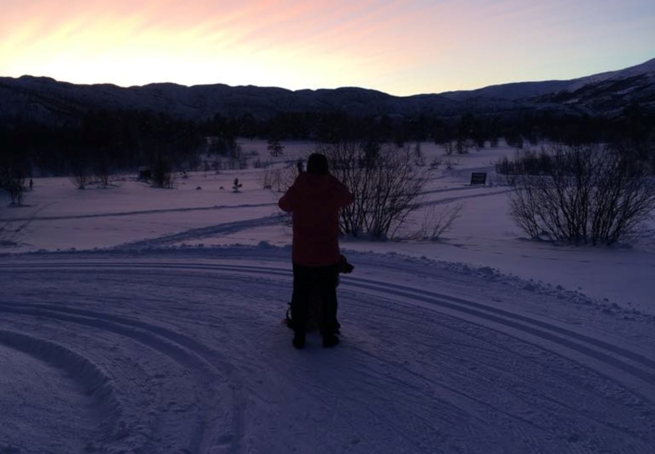 Cabin in Hol - Ski in/Ski out in Geilo – Comfortable Cabin in Vestlia with 3 Bedrooms
