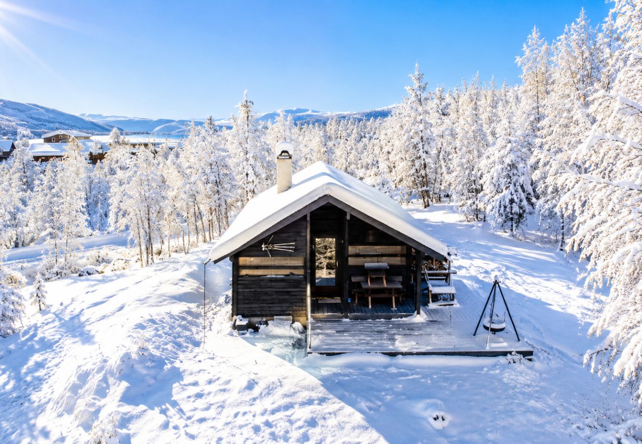 Cabin in Hol - Ski in/Ski out in Geilo – Comfortable Cabin in Vestlia with 3 Bedrooms
