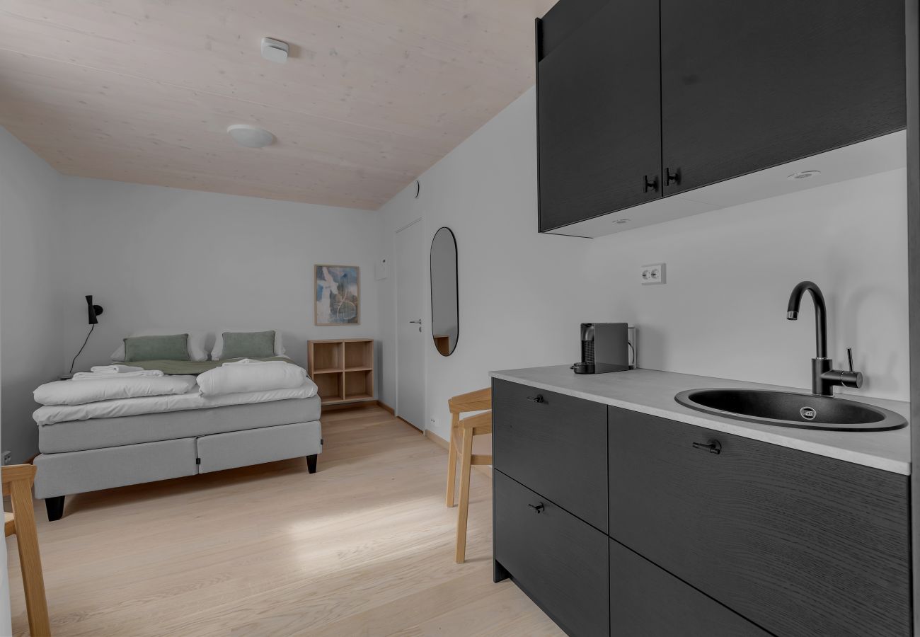 Studio in Tromsø - Pinewood Urban Blue StudioB