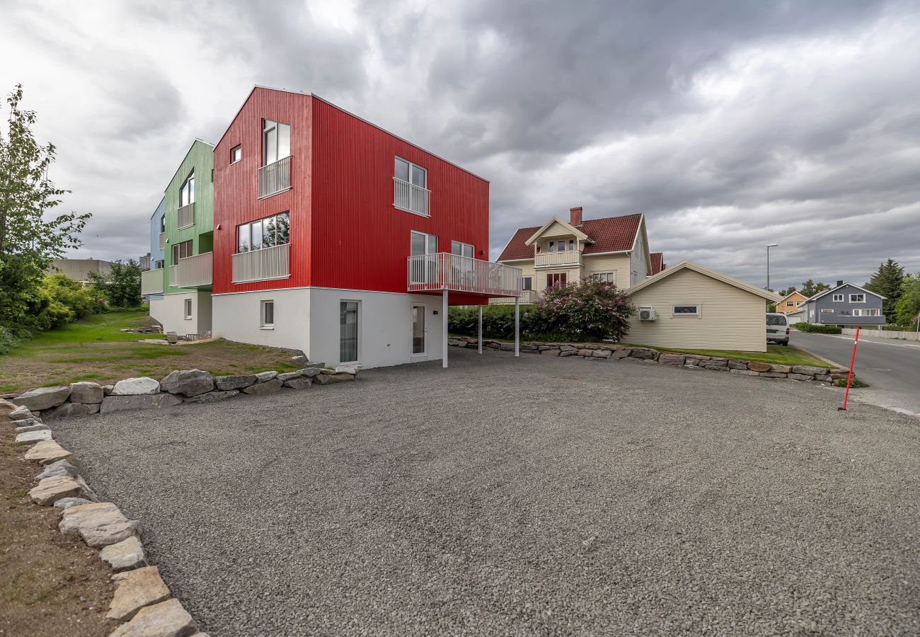 Studio in Tromsø - Pinewood Urban Blue StudioC