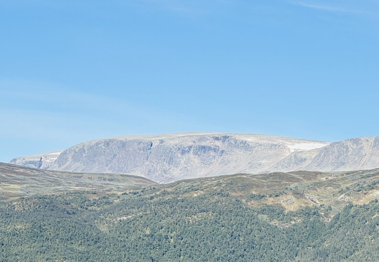 Apartment in Hol - Moderne leilighet i Vestlia . Ski in ski out