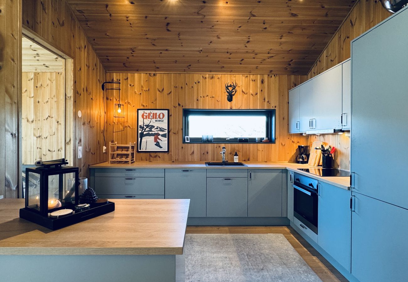 Apartment in Hol - Moderne leilighet i Vestlia . Ski in ski out