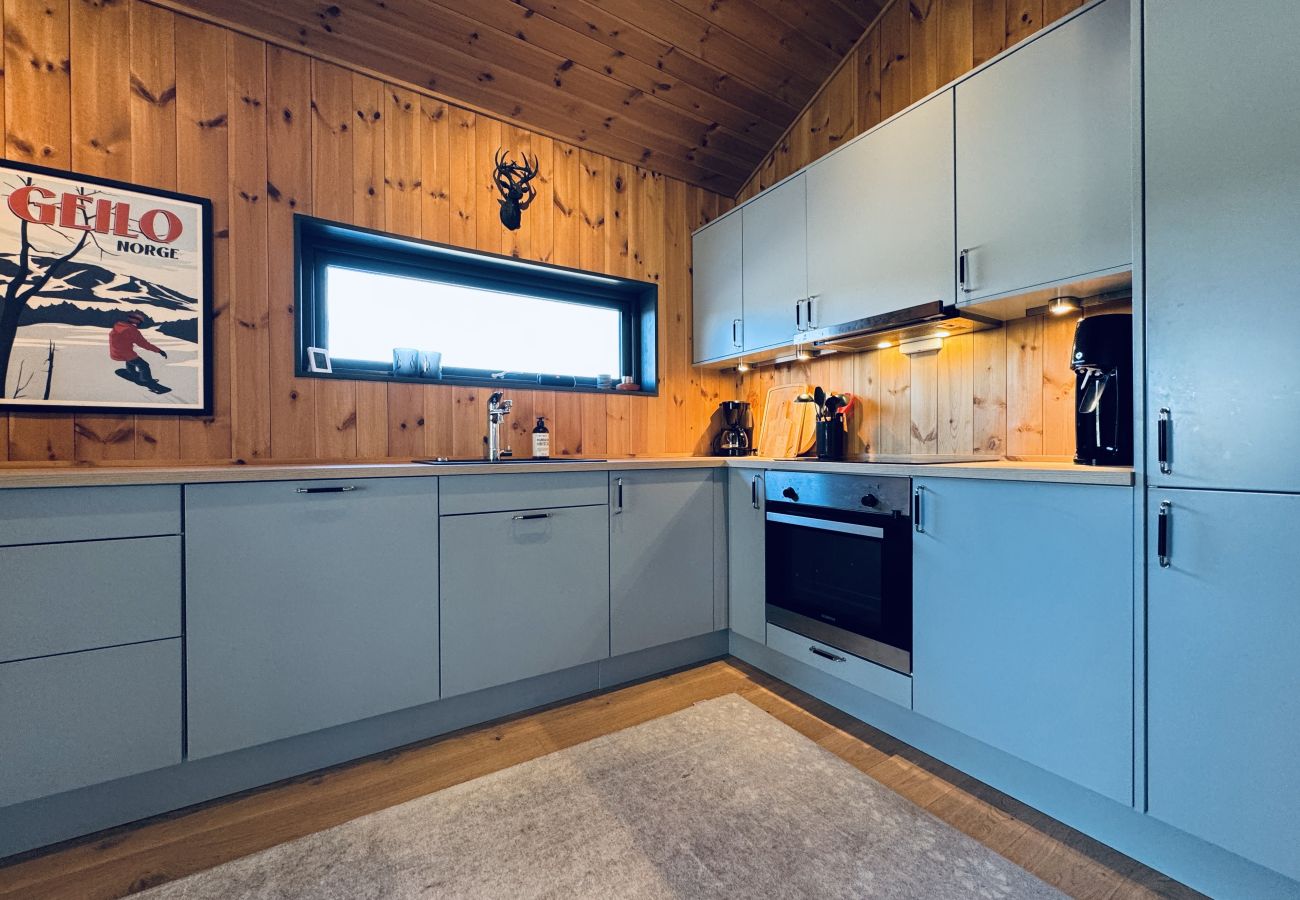 Apartment in Hol - Moderne leilighet i Vestlia . Ski in ski out