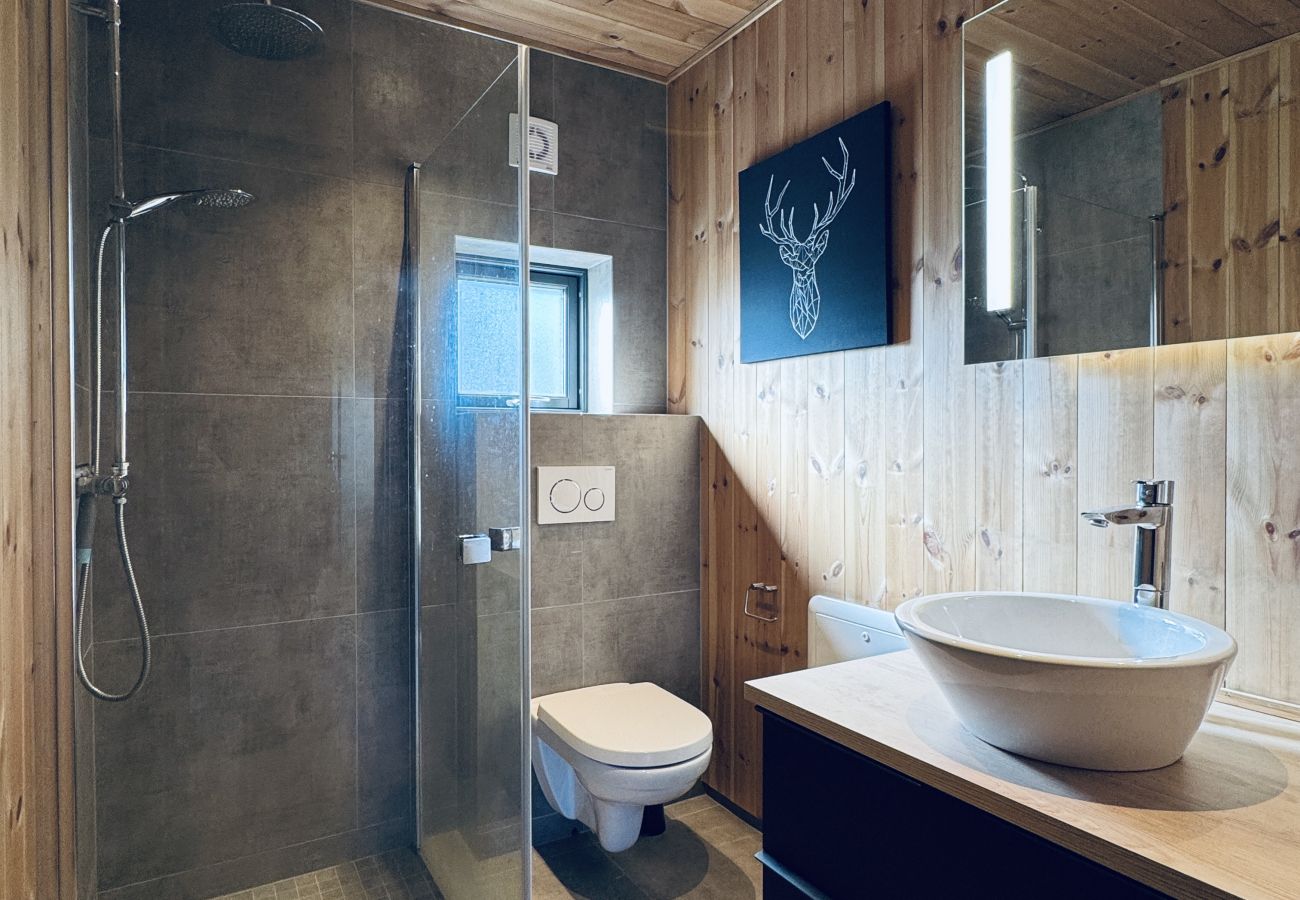 Apartment in Hol - Moderne leilighet i Vestlia . Ski in ski out