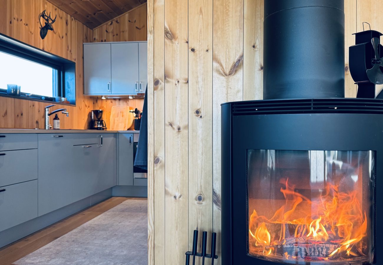 Apartment in Hol - Moderne leilighet i Vestlia . Ski in ski out