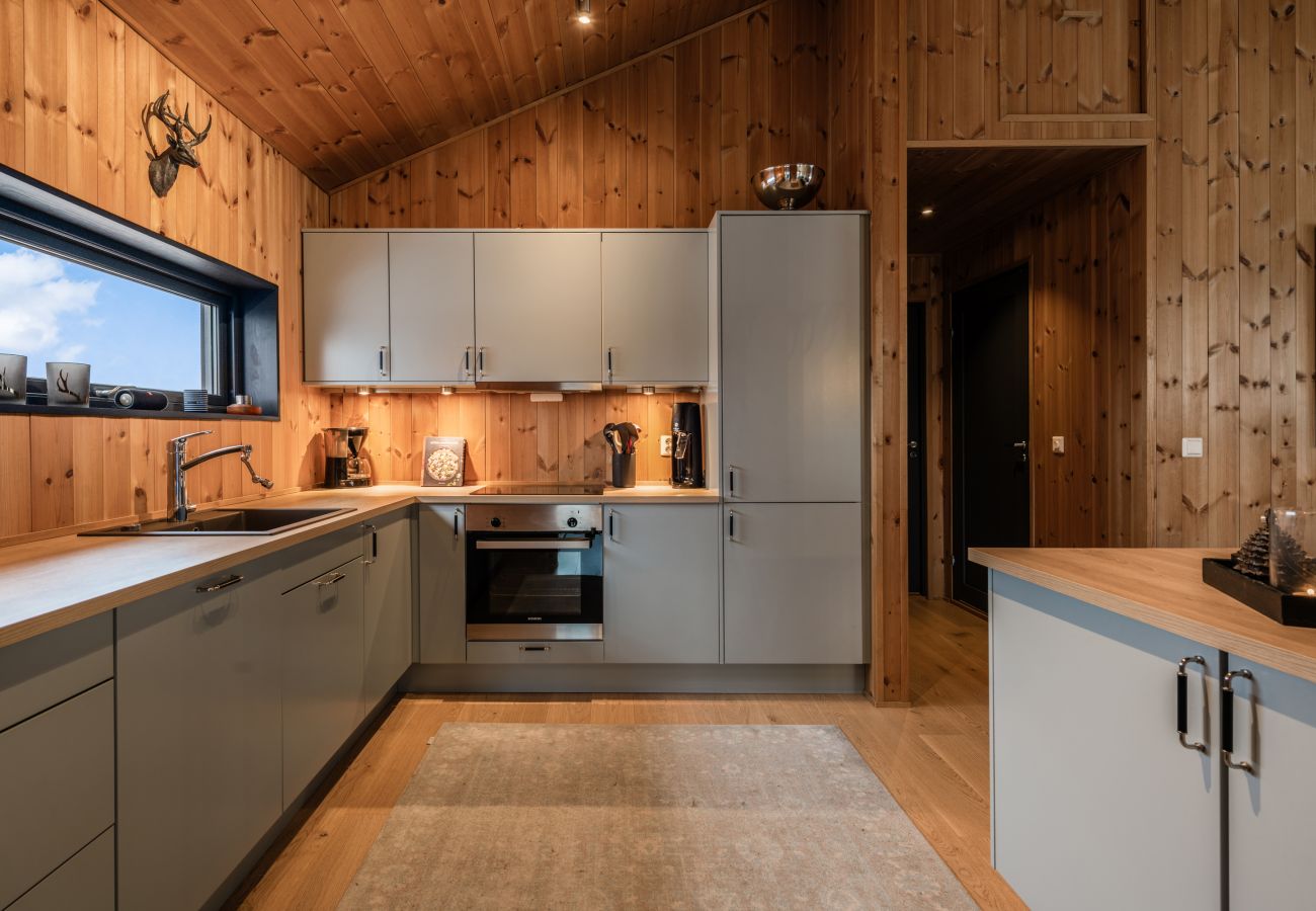 Apartment in Hol - Moderne leilighet i Vestlia . Ski in ski out