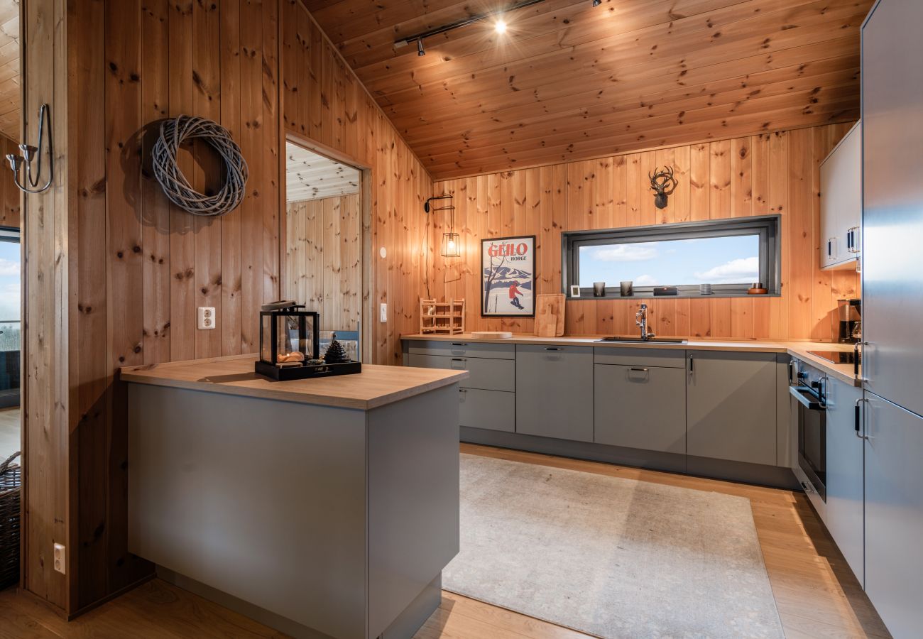 Apartment in Hol - Moderne leilighet i Vestlia . Ski in ski out