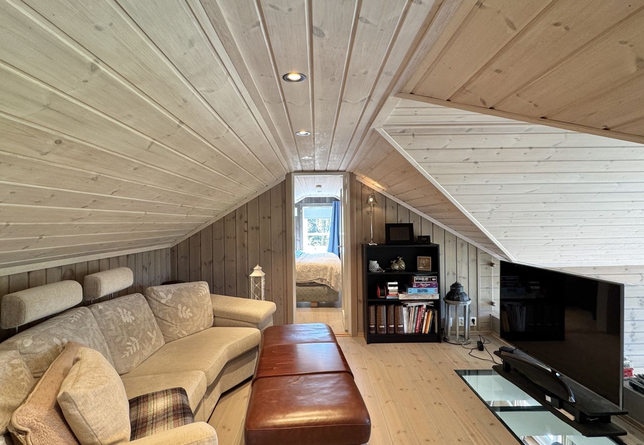 Cabin in Gol - Bjørnebo, Family cabin