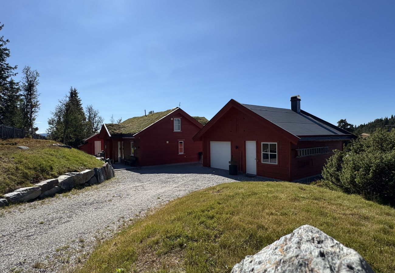 Cabin in Gol - Bjørnebo, Family cabin