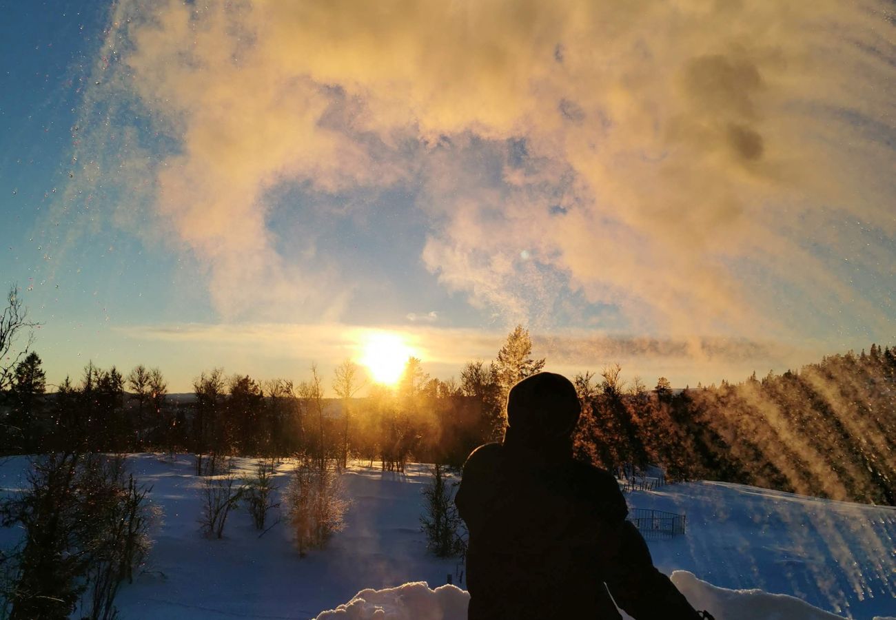 Cabin in Gol - Bjørnebo, Family cabin