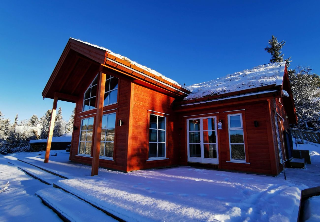 Cabin in Gol - Bjørnebo, Family cabin