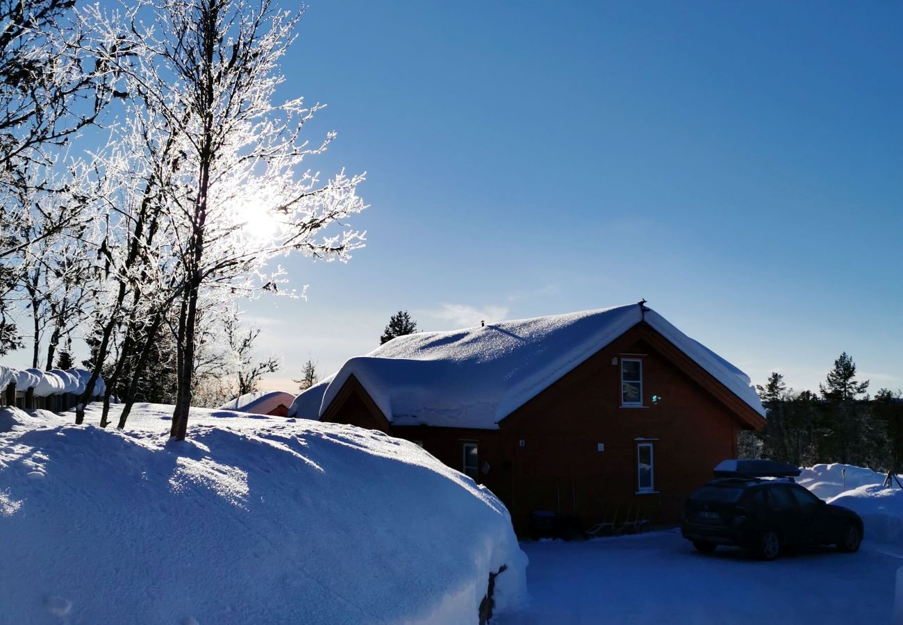 Cabin in Gol - Bjørnebo, Family cabin