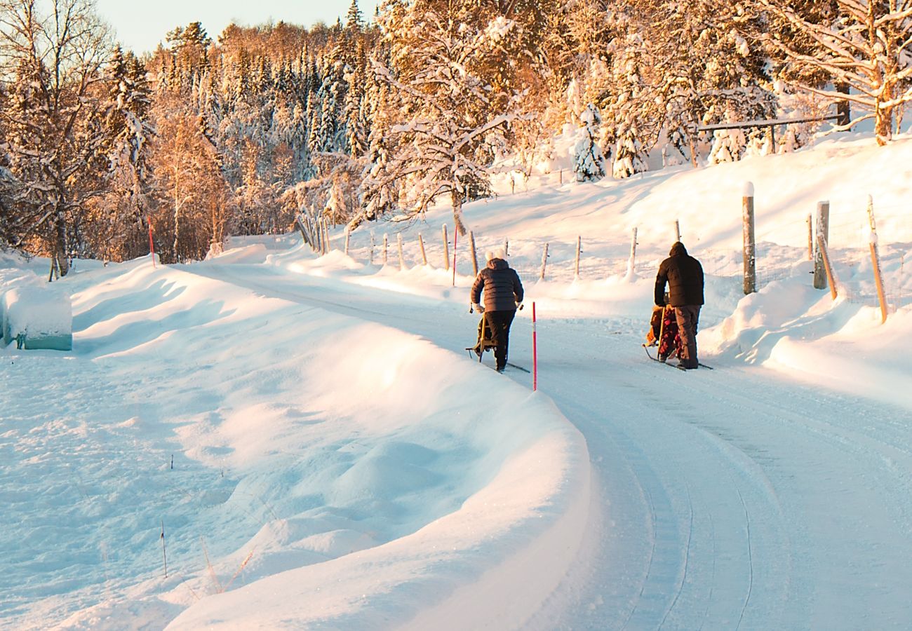 Cabin in Gol - Bjørnebo, Family cabin