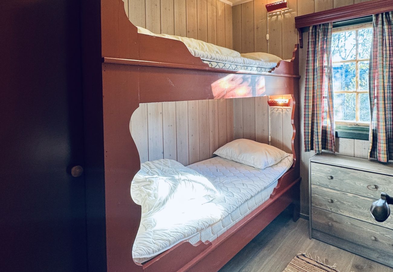 Cabin in Hol - Briskebu, cosy cabin by ski slopes