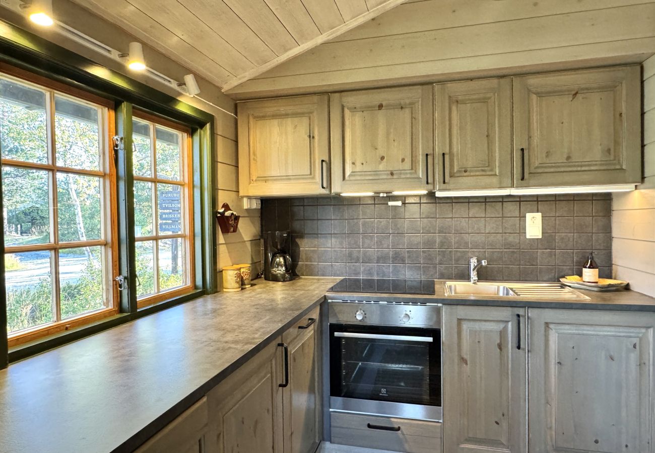 Cabin in Hol - Briskebu, cosy cabin by ski slopes