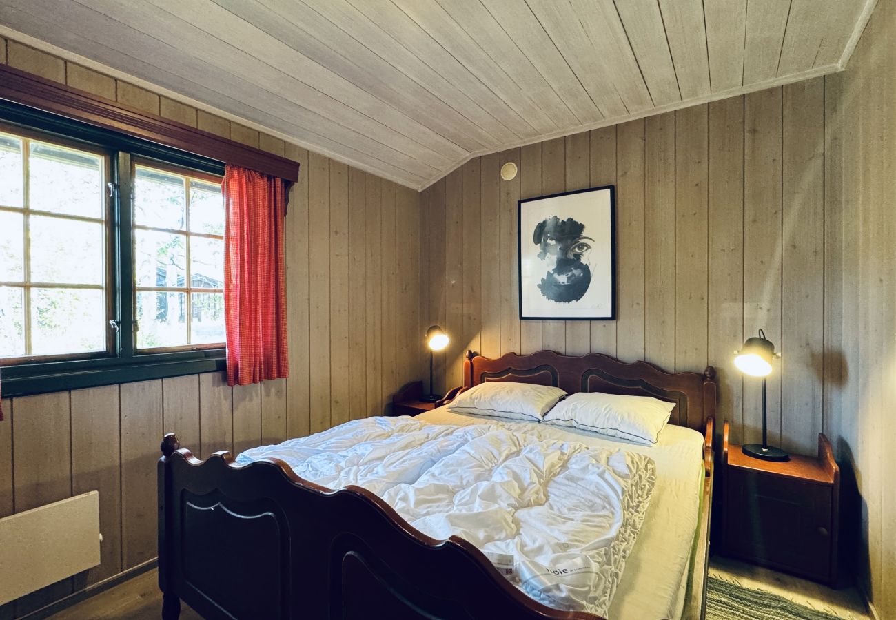 Cabin in Hol - Briskebu, cosy cabin by ski slopes