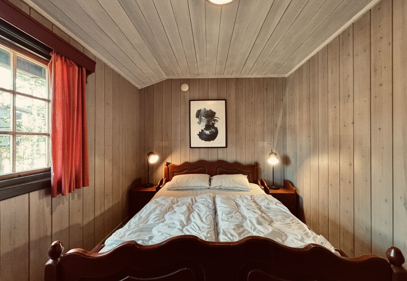 Cabin in Hol - Briskebu, cosy cabin by ski slopes