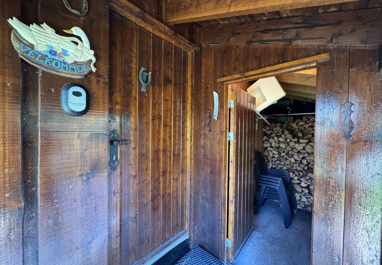 Cabin in Hol - Briskebu, cosy cabin by ski slopes