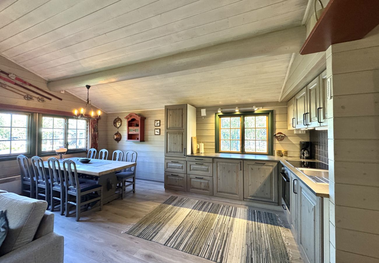 Cabin in Hol - Briskebu, cosy cabin by ski slopes