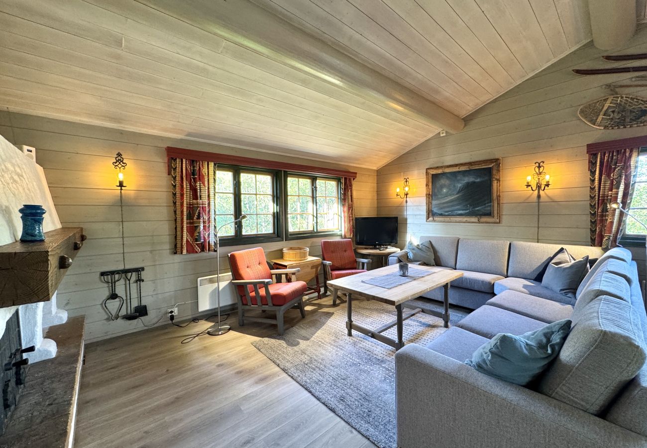 Cabin in Hol - Briskebu, cosy cabin by ski slopes