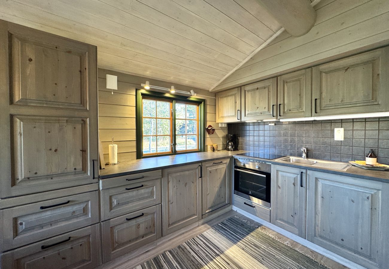 Cabin in Hol - Briskebu, cosy cabin by ski slopes