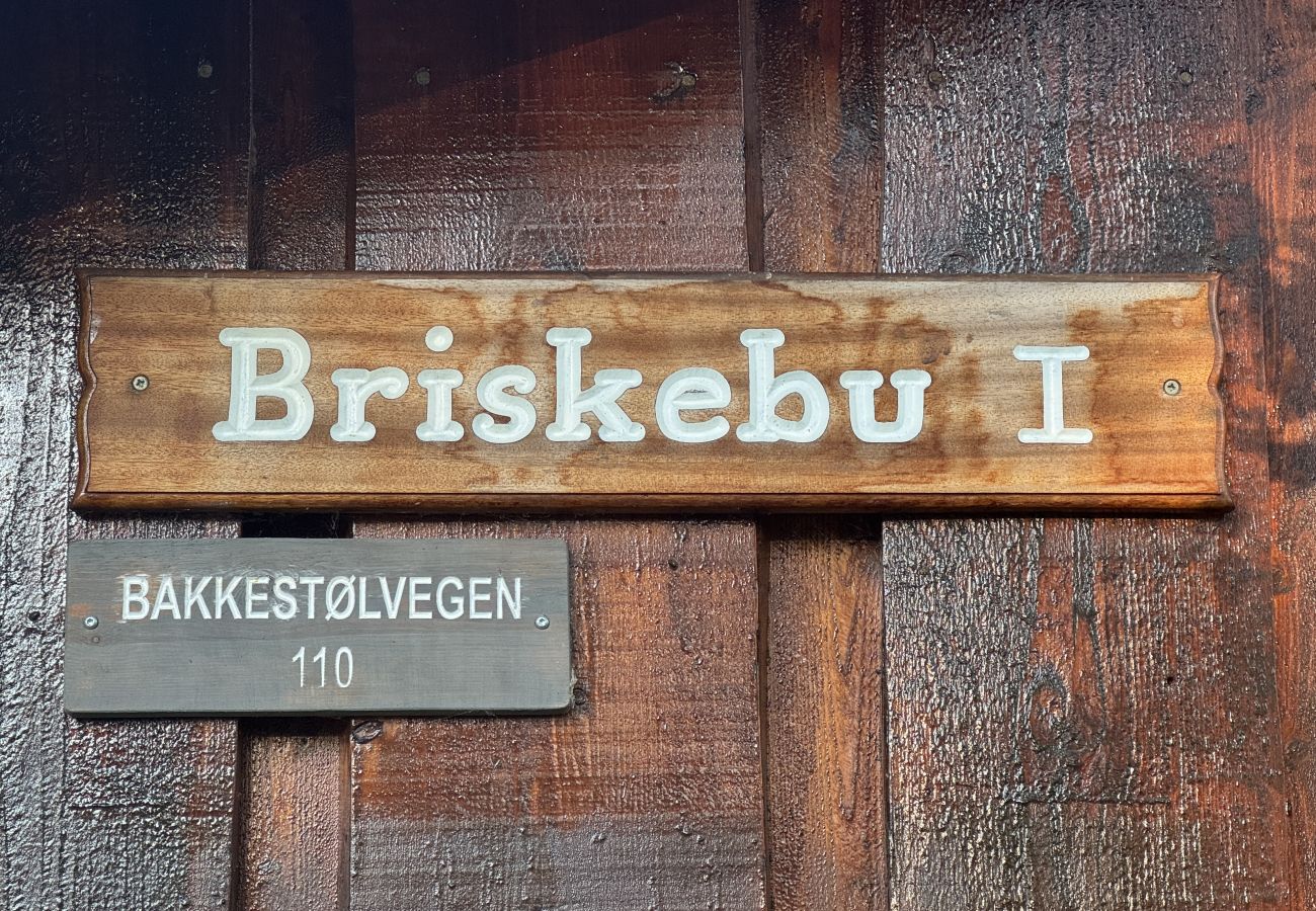 Cabin in Hol - Briskebu, cosy cabin by ski slopes