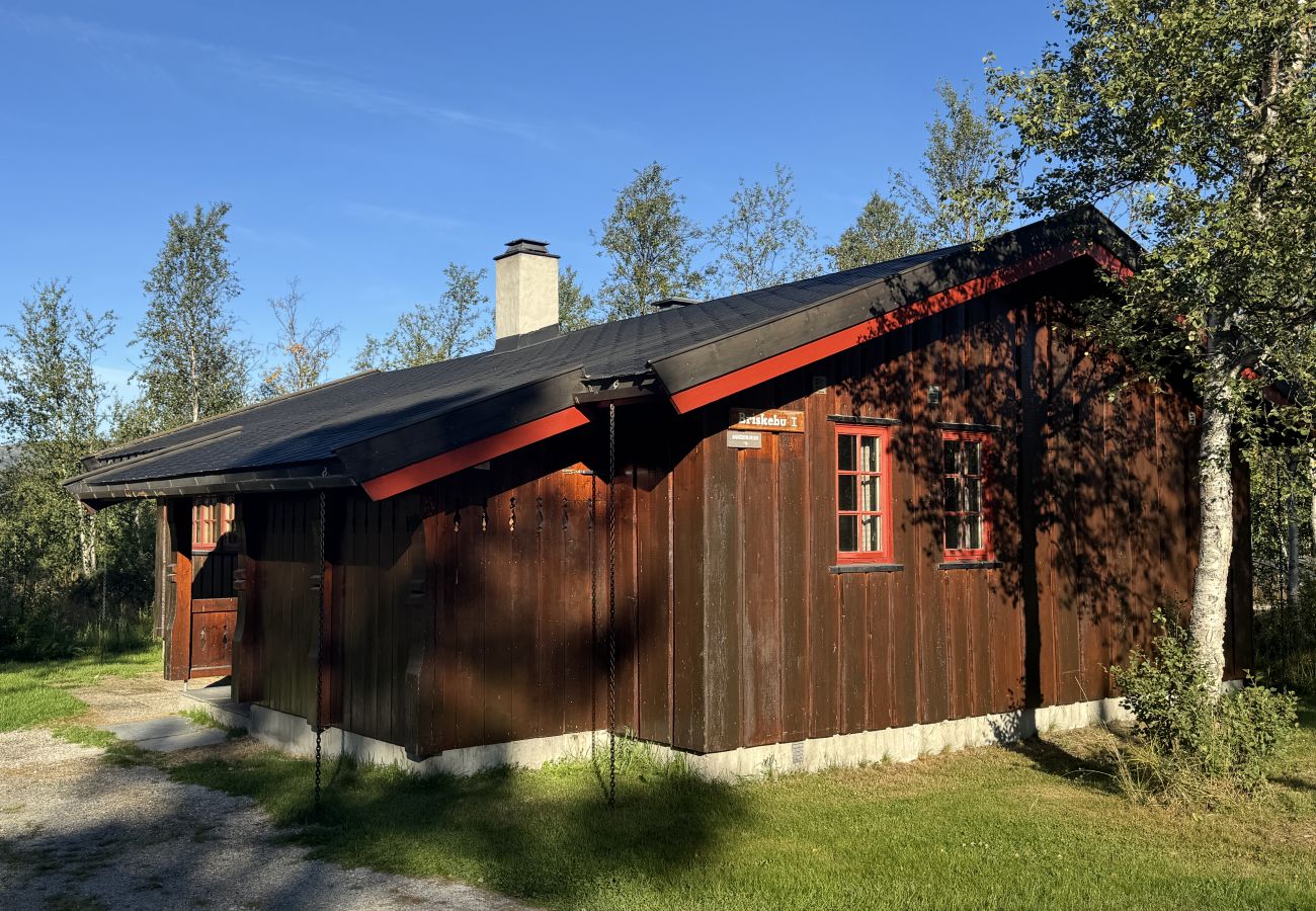 Cabin in Hol - Briskebu, cosy cabin by ski slopes