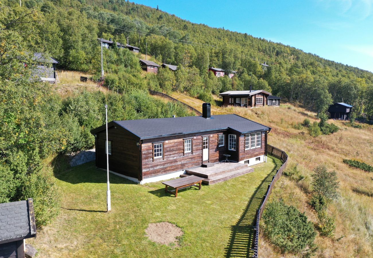Cabin in Hol - Fjellro-Geilo Cabin Retreat