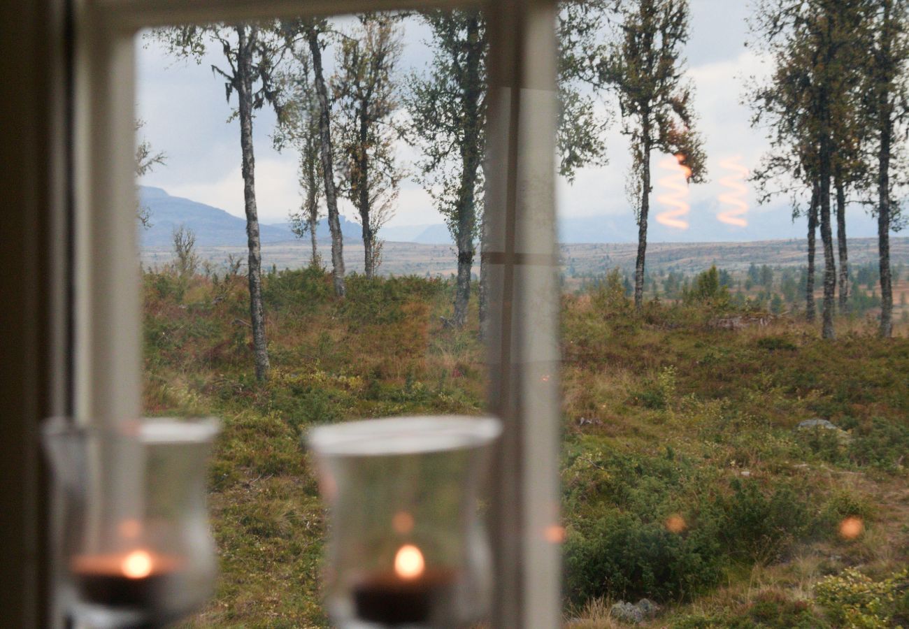 Cottage in Gol - Nydelig hyttetun på Torpoåsen