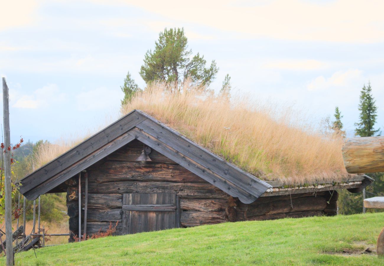 Cottage in Gol - Nydelig hyttetun på Torpoåsen