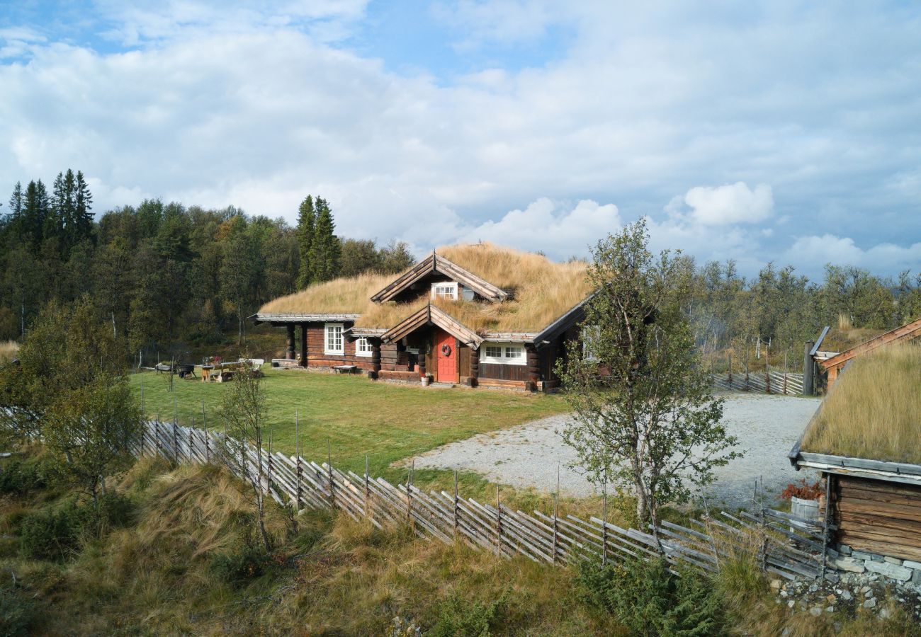 Cottage in Gol - Nydelig hyttetun på Torpoåsen
