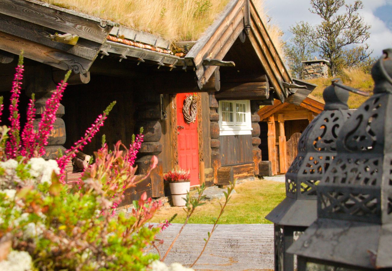 Cottage in Gol - Nydelig hyttetun på Torpoåsen