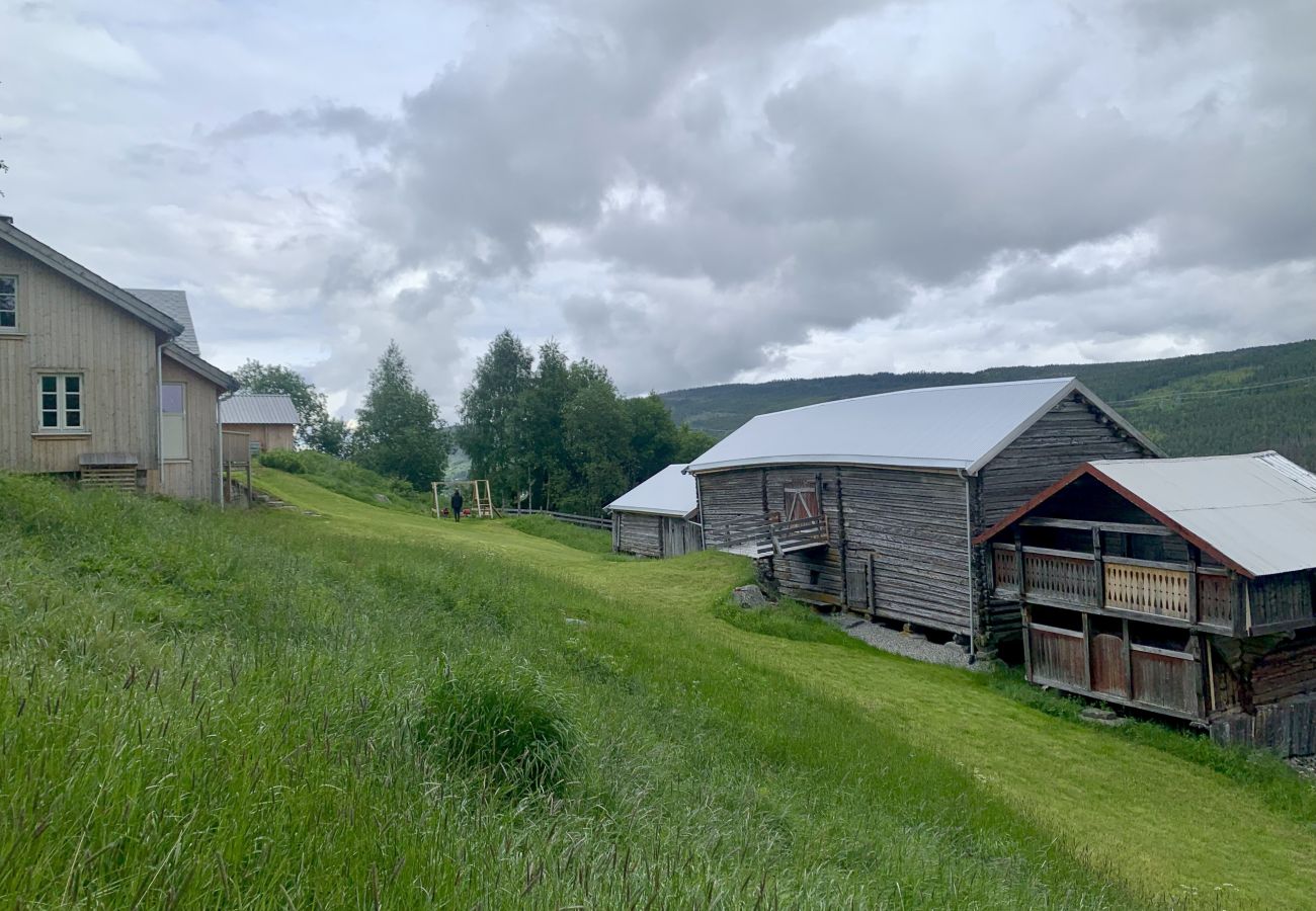 House in Ål - Tolleivsgarden, Ål-house with amazing view