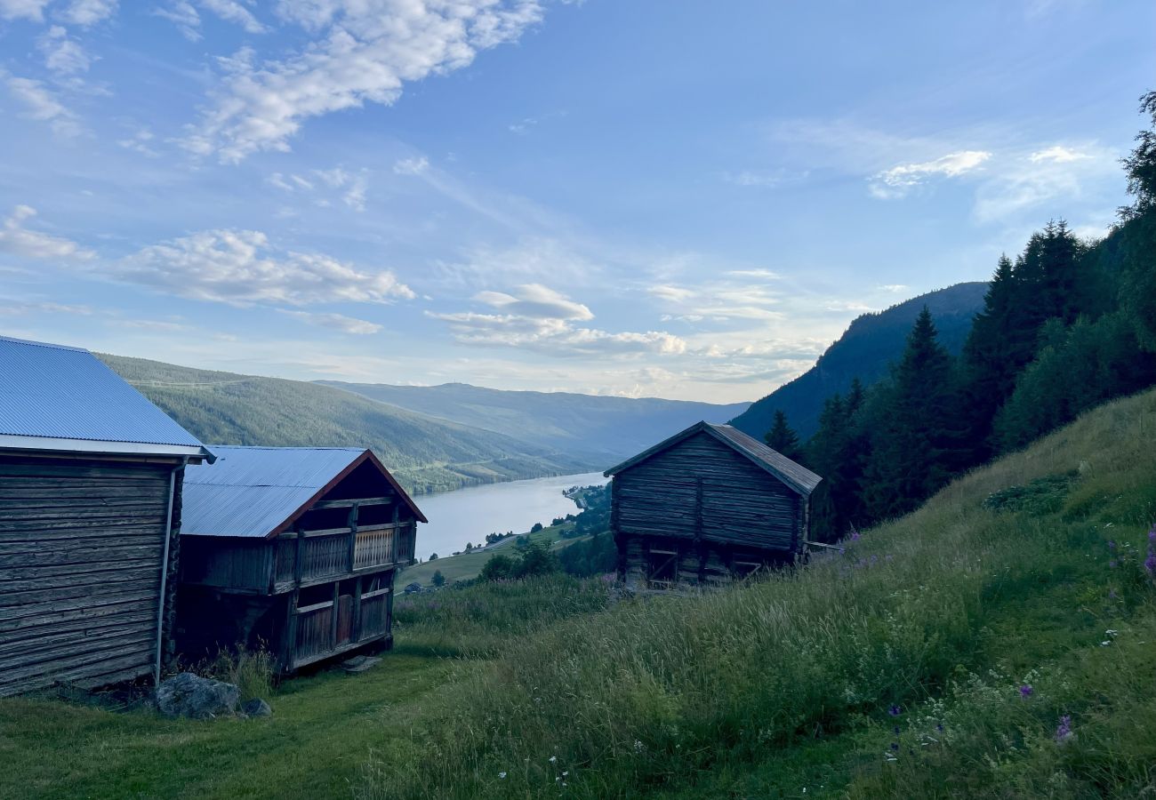 House in Ål - Tolleivsgarden, Ål-house with amazing view