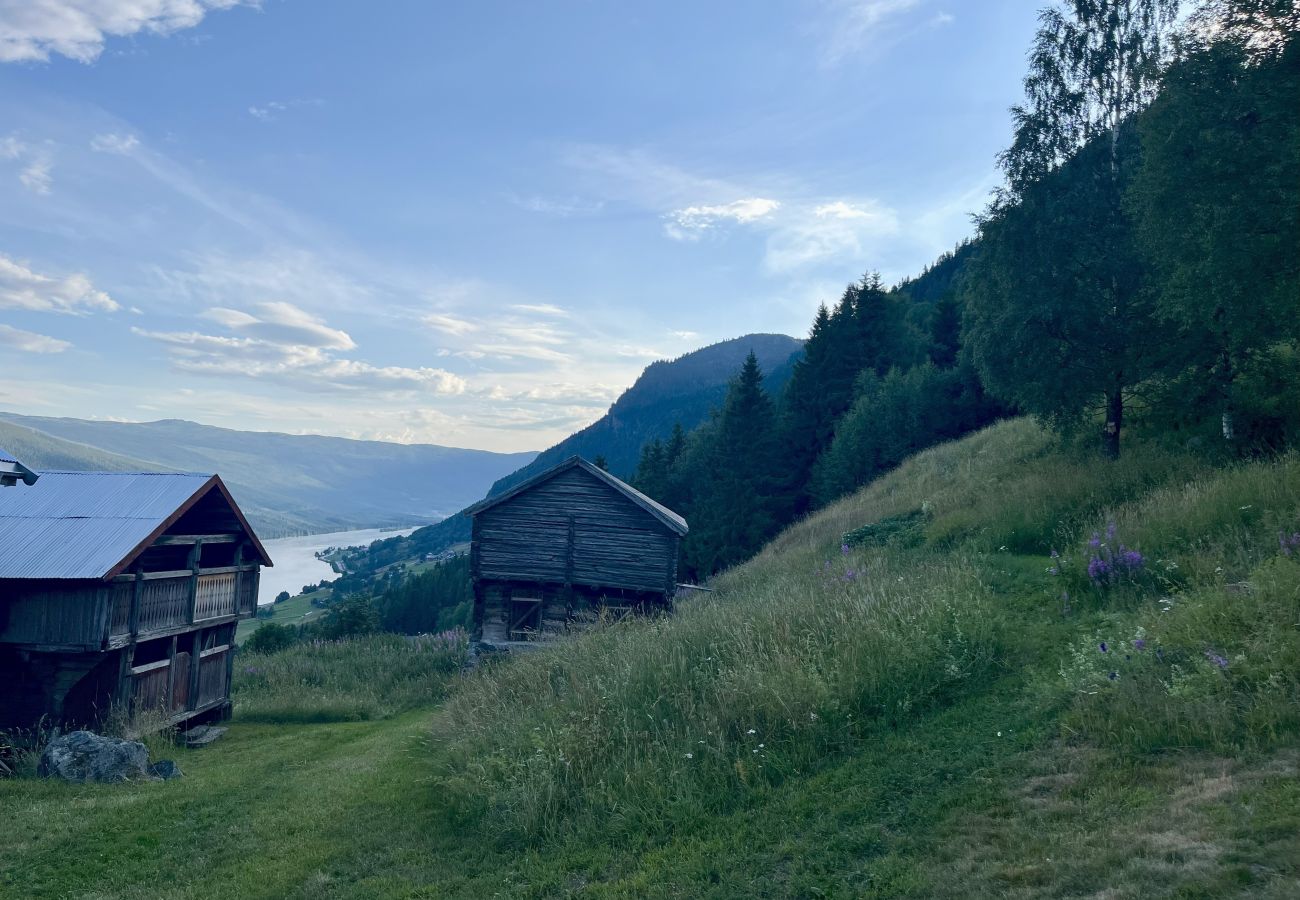 House in Ål - Tolleivsgarden, Ål-house with amazing view