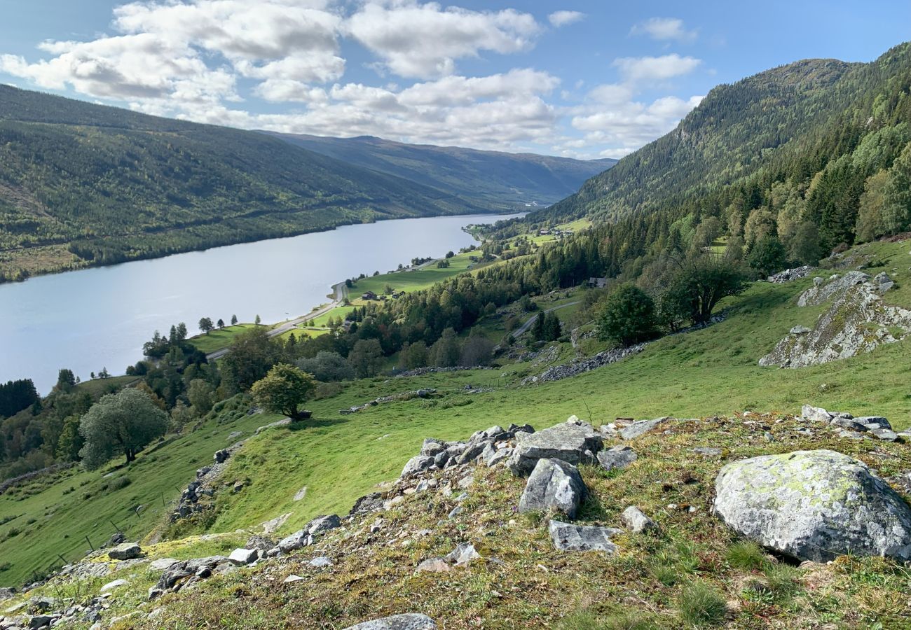 House in Ål - Tolleivsgarden, Ål-house with amazing view