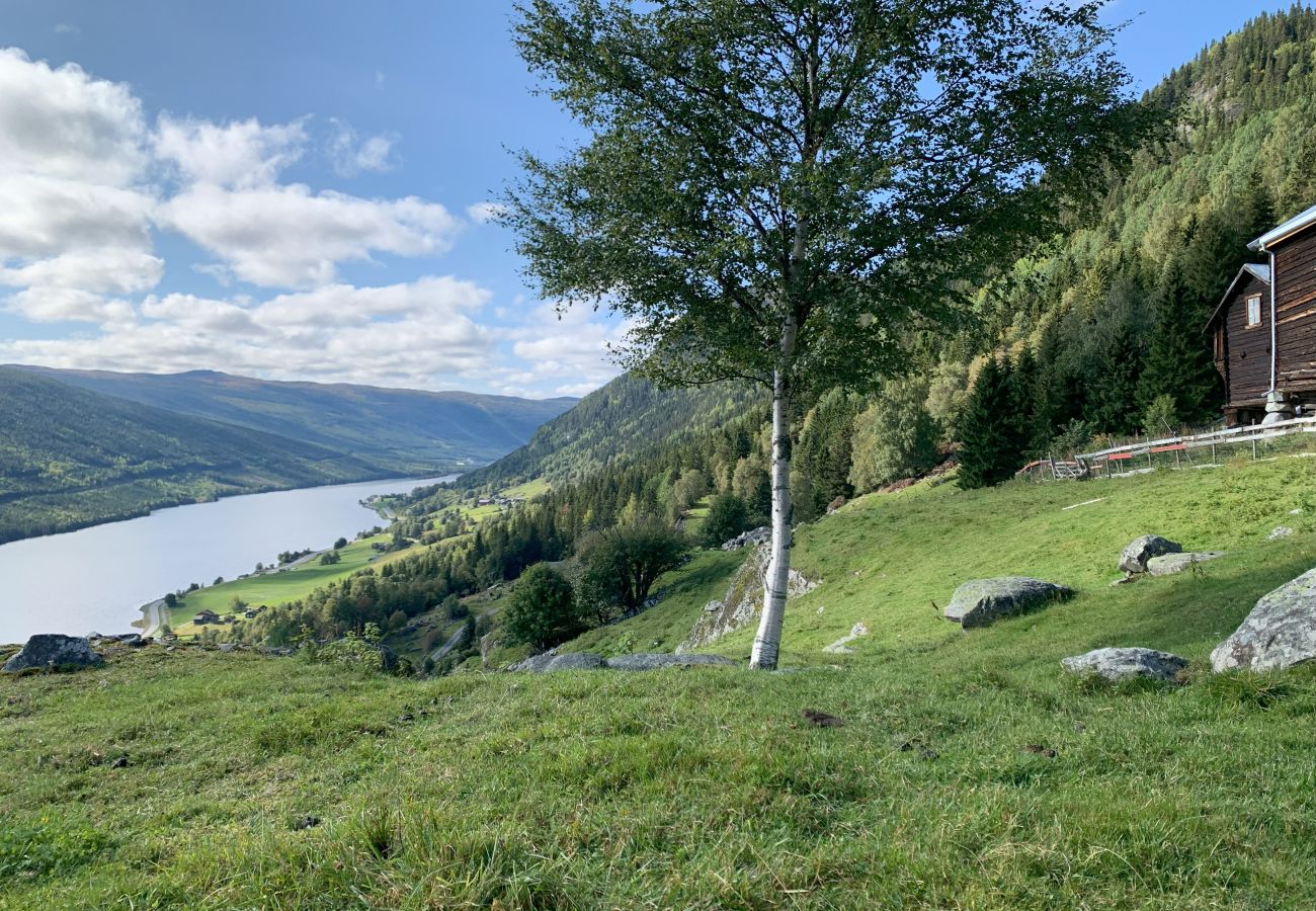 House in Ål - Tolleivsgarden, Ål-house with amazing view