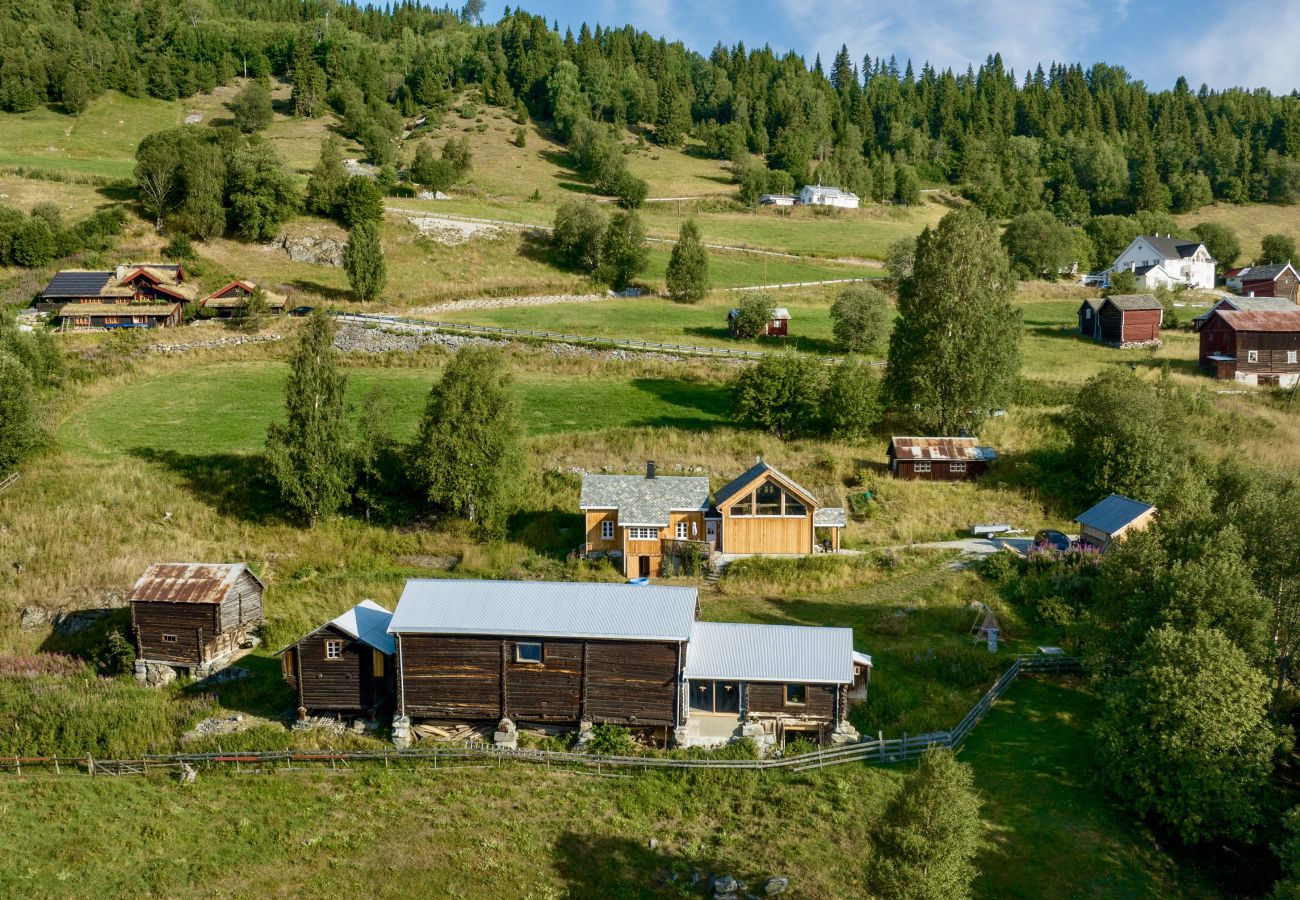 House in Ål - Tolleivsgarden, Ål-house with amazing view