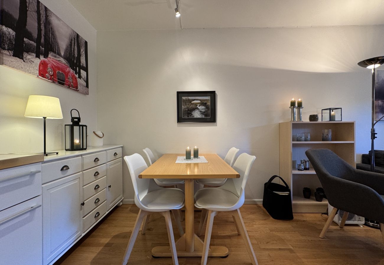 Apartment in Hol - Central Apartment in Geilo