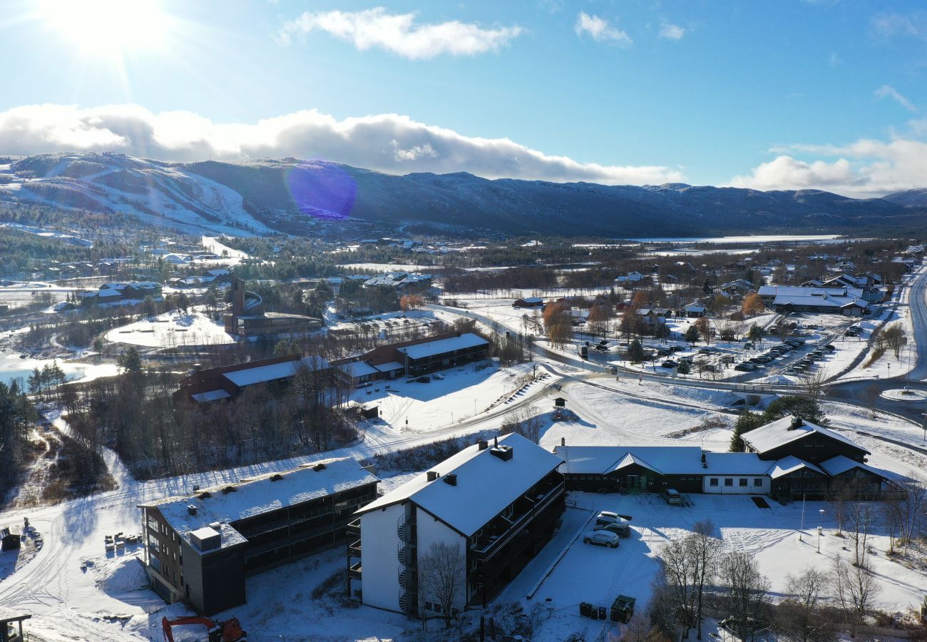 Apartment in Hol - Central Apartment in Geilo