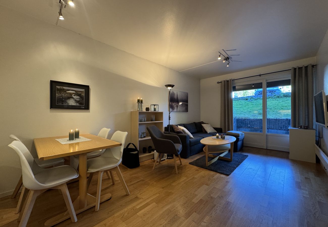Apartment in Hol - Central Apartment in Geilo