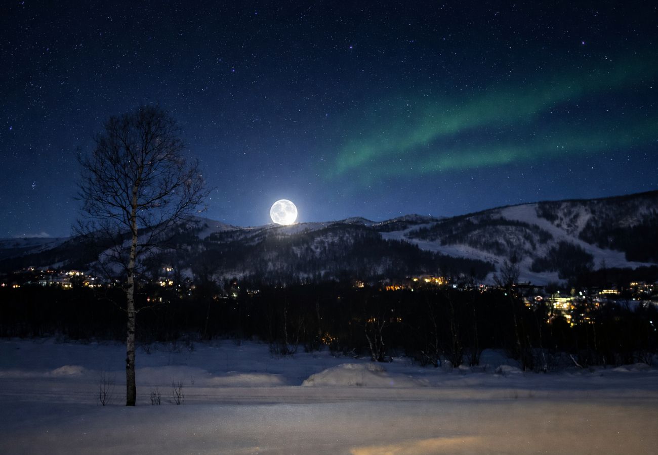 Apartment in Hol - Geilotunet Apartment