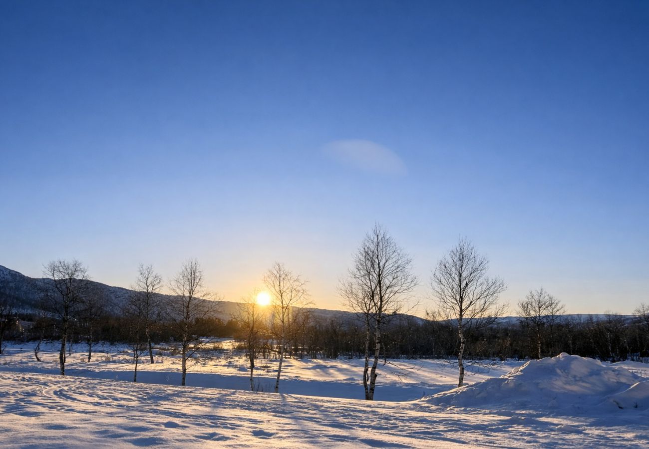 Apartment in Hol - Geilotunet Apartment