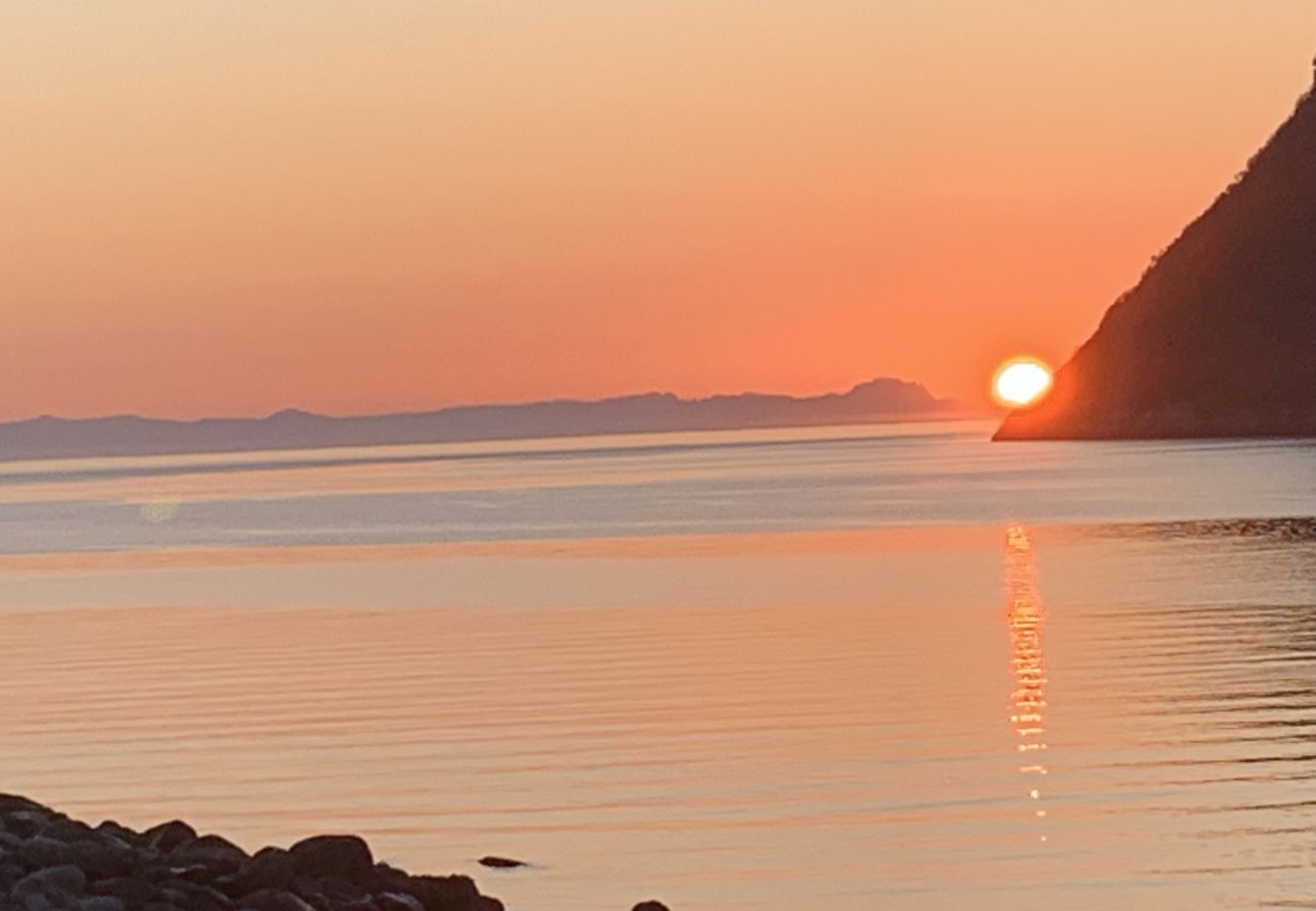 House in Senja - Fantastisk hus med sjøtomt i Gryllefjord