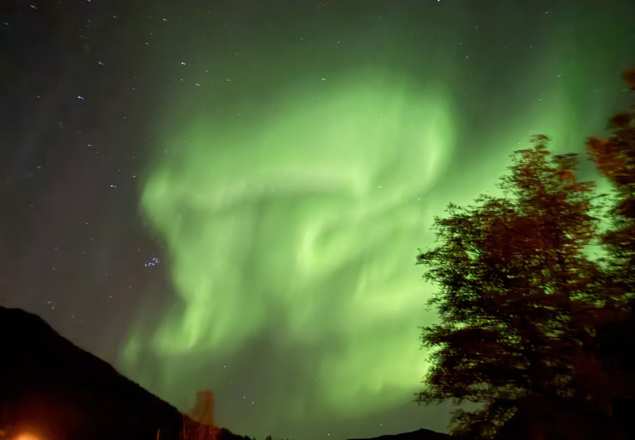 House in Senja - Fantastisk hus med sjøtomt i Gryllefjord